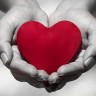 lovedisciple
